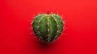 Heart-shaped cactus with sharp spines on vibrant red background for Valentine's Day, love concepts, and romantic desert plant designs.