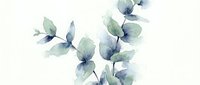 Watercolor eucalyptus branches with soft green and blue leaves on white background for botanical design projects and natural decor elements.