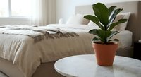 Rubber plant in terracotta pot on white round table in modern bedroom with unmade bed and natural light creating peaceful indoor atmosphere for home decor.