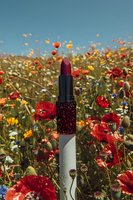 Burgundy lipstick with glitter packaging against vibrant wildflower meadow background with red poppies, yellow and orange flowers under blue summer sky.