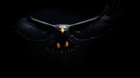 Majestic bald eagle with spread wings soaring against dark background, dramatic lighting highlighting yellow beak and powerful wingspan in flight.