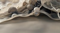 Translucent organic forms with flowing fabric-like textures and spherical elements create an abstract composition suitable for modern design, backgrounds, and artistic projects.