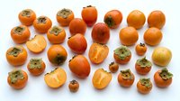 Fresh persimmons and medlars arranged overhead, displaying whole fruits and cross-sections on white background. Suitable for food, nutrition, recipe, and culinary design projects.