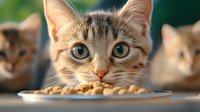 Adorable tabby kitten with bright green eyes eating dry food from white bowl, other kittens blurred in background for pet care and animal nutrition concepts.