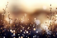 Dreamy winter meadow silhouettes against blurred bokeh background in golden brown tones, creating magical nature atmosphere at dusk.