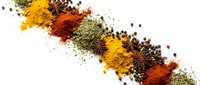 Colorful spices and herbs scattered in diagonal line with turmeric, paprika, star anise, peppercorns creating vibrant culinary composition on white background.