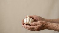 Mature hands holding fresh garlic bulb against neutral background, suitable for cooking, nutrition, health, and culinary content.