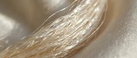 Close-up macro shot of blonde hair strands with natural shine and texture, showcasing healthy hair care and beauty concepts for salon and cosmetic use.