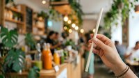 Unrecognizable person holding wooden toothbrush in eco-friendly bathroom or sustainable lifestyle setting with blurred green plants and warm lighting.