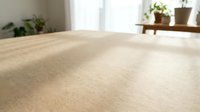 Soft beige carpet texture in bright living room with houseplants and natural window light creating cozy home interior atmosphere for flooring design.
