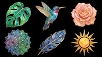Watercolor clipart set with monstera leaf, hummingbird, rose, mandala, feather, and sun, isolated on transparent background, ready for stickers, sublimation, and t-shirt design.