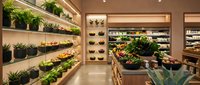 Modern organic grocery store interior with fresh produce displays, wooden shelving, and contemporary lighting design for retail and shopping concepts.