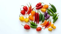 Assorted fresh chili peppers and bell peppers in red, yellow, orange, and green varieties arranged on white background for cooking and culinary design projects.