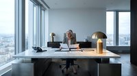 Businesswoman working at modern desk in high-rise office with panoramic city views, contemporary workspace design for corporate and professional themes.