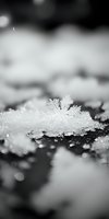 Delicate ice crystal with intricate frozen patterns resting on snow-covered surface in monochrome. Winter macro photography for seasonal designs and nature concepts.