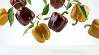 Fresh colorful bell peppers with green leaves floating on white background. Organic vegetables for healthy cooking and nutrition concepts.