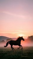 Horse silhouette galloping through misty field at sunrise with pink purple sky and rolling hills creating dramatic pastoral landscape scene.