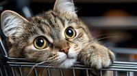 Tabby cat with striking yellow eyes peering over metal railing, displaying curious and playful expression. Suitable for pet care, animal behavior, and lifestyle content.