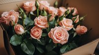 Fresh peach-colored roses with green leaves and buds arranged in box, moody lighting creates romantic atmosphere for wedding and special occasions.