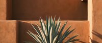 Modern minimalist architecture with agave plant creating dramatic shadows on warm terracotta adobe walls in contemporary desert landscape design.