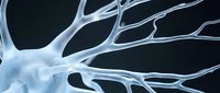 Abstract neuron cell with branching dendrites on dark background for medical and scientific presentations.