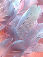 Delicate white and pink feathers in soft focus create ethereal composition with gentle light and shadows, showcasing natural texture and graceful curves.