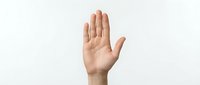 Human hand raised up in stop gesture on white background isolated for design and clipart use.