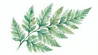 Watercolor fern leaf with delicate green foliage isolated on white background, suitable for botanical designs, nature-themed graphics, and decorative projects.