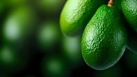 Fresh green avocados with water drops on textured skin against dark background with selective focus and copy space, macro food photography.