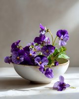 Fresh purple pansies in white ceramic bowl on light background with natural shadows, spring garden flowers arrangement for home decoration.