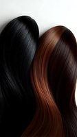 Contrasting black and brown long straight hair showing smooth, glossy texture and healthy shine against white background, demonstrating professional hair care results.