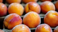 Fresh ripe apricots with red blush and fuzzy skin texture in wooden crate, macro food photography showing natural organic produce at farmers market.