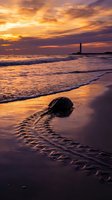 Dramatic sunset seascape with sea turtle tracks leading to ocean waves and lighthouse silhouette on golden beach sand creating peaceful coastal atmosphere.