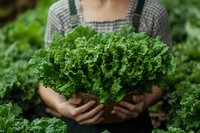 Woman farmer holding fresh curly kale with soil-covered roots in vegetable garden. Organic produce harvesting and sustainable agriculture concept for farming and food production.