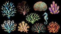 Colorful coral and seahorse collection isolated on transparent background, ready for t-shirt design, clipart, stickers, sublimation and print-on-demand projects.