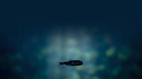 Lone seal swimming in deep blue ocean waters with ethereal light rays filtering through surface creating mystical underwater atmosphere.