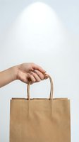 Hand holding brown kraft paper shopping bag with twisted handles against white background for eco-friendly retail and sustainable packaging concepts.