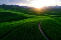 Winding dirt road through rolling green hills and mountains at sunset, with dramatic sunbeams illuminating vibrant grassland landscape in spring season.