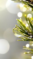 Fresh pine needles with sparkling water droplets catching morning light against soft bokeh background, creating natural abstract macro composition.