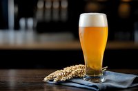 Fresh cold wheat beer with foam head in tall glass on dark wooden table with barley ears, napkin and moody bar background lighting.
