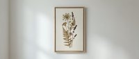 Pressed dried botanical specimens in wooden frame on neutral wall with natural lighting creating soft shadows for home decor and interior design.
