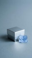 Minimalist silver gift boxes with blue hydrangea flower on monochrome background for luxury packaging and elegant presentation concepts.