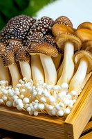 Fresh assorted mushrooms including brown spotted caps, golden stems, and white enoki varieties arranged in wooden box, macro food photography for culinary use.