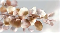 Delicate eucalyptus branch with rose gold metallic leaves creating elegant natural composition on light background, soft focus botanical art photography.