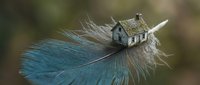 Miniature house resting on blue feather creating surreal fantasy scene for creative projects and artistic concepts.