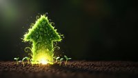 Green arrow made of grass and plants growing from soil with glowing light, symbolizing growth, sustainability and eco-friendly business development.