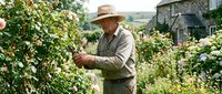 Senior Caucasian man in a straw hat pruning roses in a lush cottage garden with a stone house in the background on a sunny day.