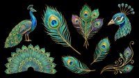 Peacock clipart set with full bird, head, feathers, and fan tail in teal and gold, isolated on transparent background, ready for t-shirt design, stickers, and print on demand.
