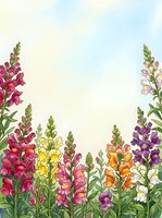 Watercolor snapdragon garden border with colorful blooms in pink, yellow, orange, purple, and white against a soft sky background.
