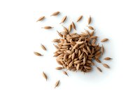 Brown rice grains scattered on white background, overhead view of organic whole grain rice. Isolated food ingredient for healthy cooking and nutrition.